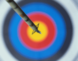 bullseye.gif